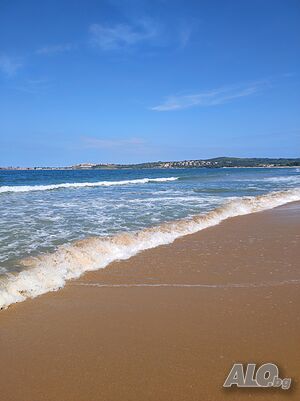image_37