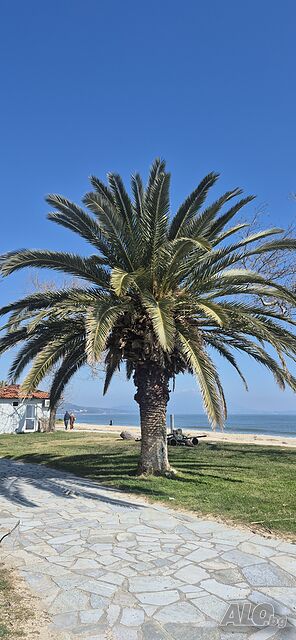 image_15