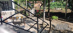 image_24