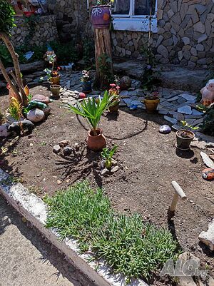 image_11