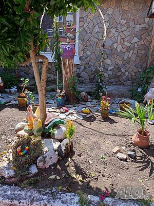 image_12
