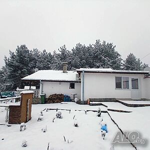 image_49