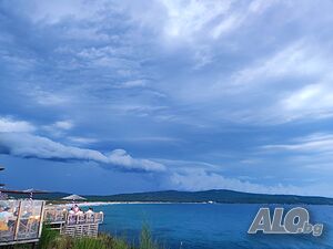 image_11
