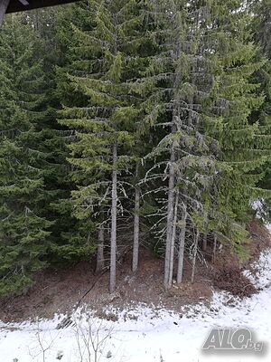 image_11