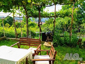 image_8