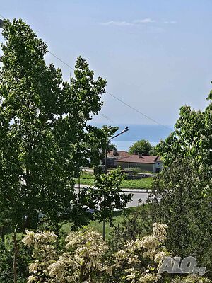 image_33