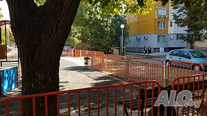 image_50
