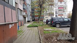 image_39
