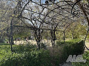 image_12