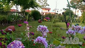image_13