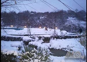 image_9
