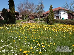 image_21