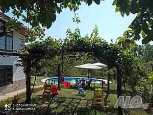 image_25