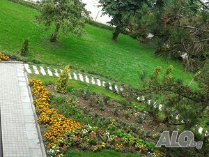 image_19