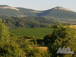 image_13