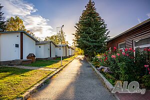 image_22
