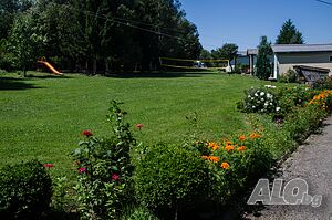 image_38