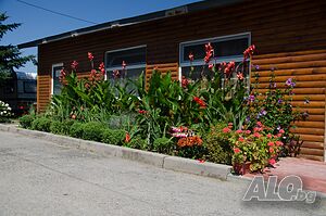 image_35
