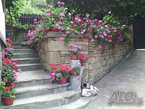 image_11