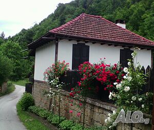 image_12