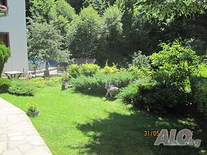 image_10