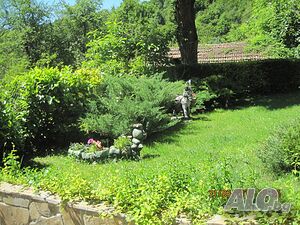image_11