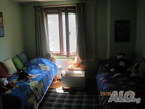 image_19