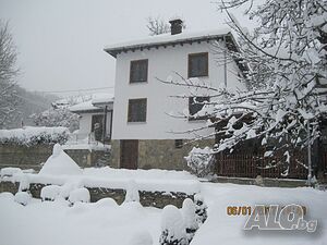 image_29