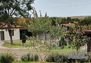 image_25