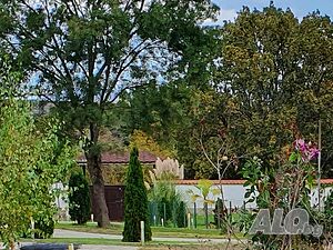 image_26