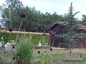 image_27