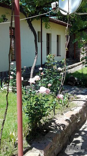image_10