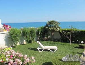 image_7