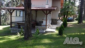 image_8