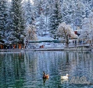 image_6