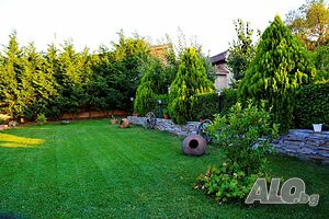 image_20