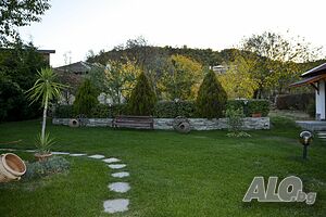 image_37