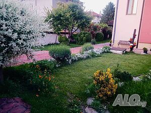 image_15