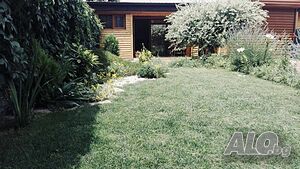 image_20