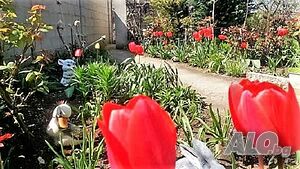 image_7