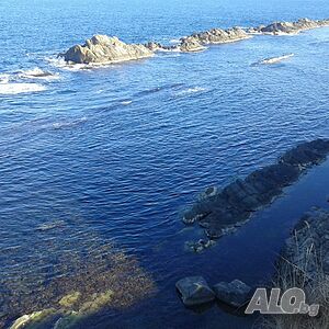 image_9