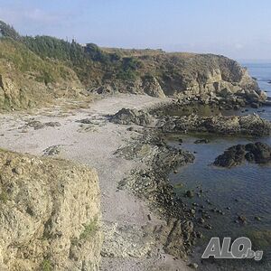 image_10