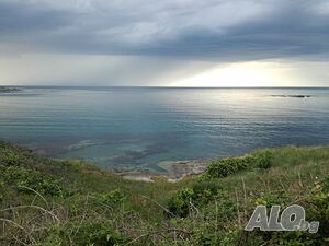 image_28