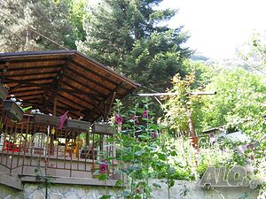 image_3