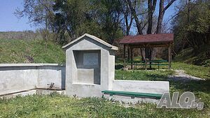 image_15