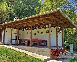 image_19