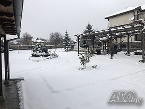image_22