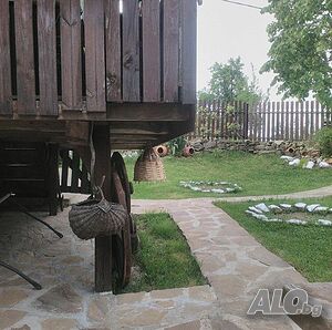image_6