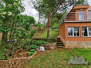 image_58