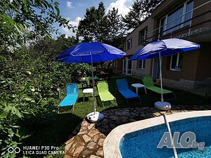 image_81